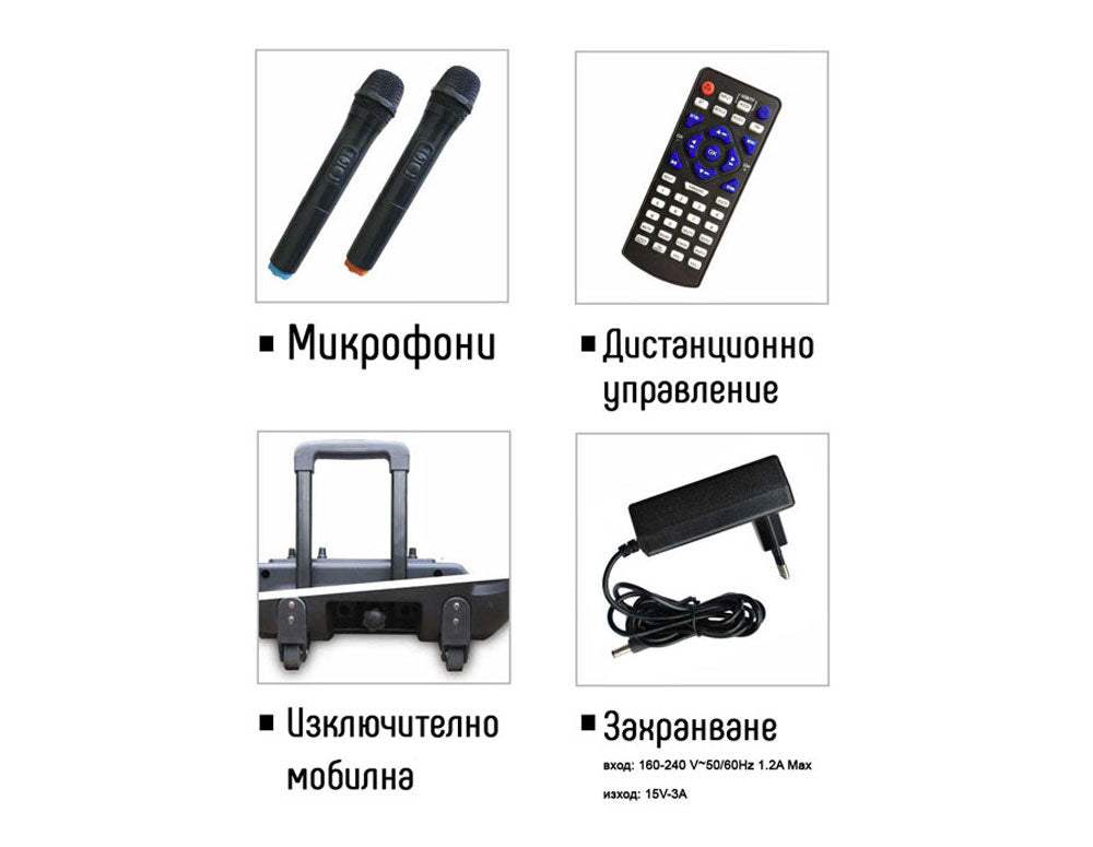 Караоке тонколона ZEPHYR ZP 9999 E, 15" цветен LED дисплей, Bluetooth, MP3, 2 бр. безжични микрофона, Черен