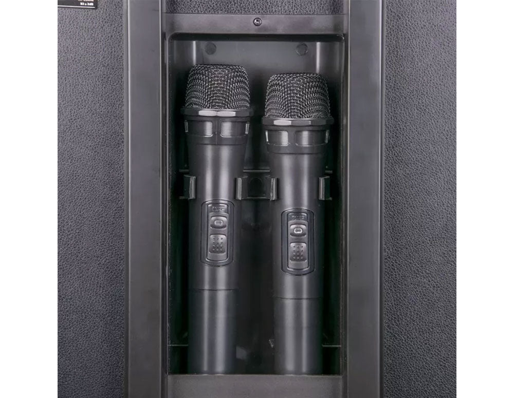 Przenośny system karaoke ZEPHYR ZP 9999 2G12, 2x12 cali, Bluetooth, USB, gniazdo gitarowe, AUX, 2 mikrofony, pilot